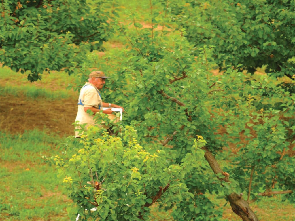 Cover of Evaluating the Economic Benefits of Greenbelt Assets Report featuring a person standing in a green orchard holding a clipboard.