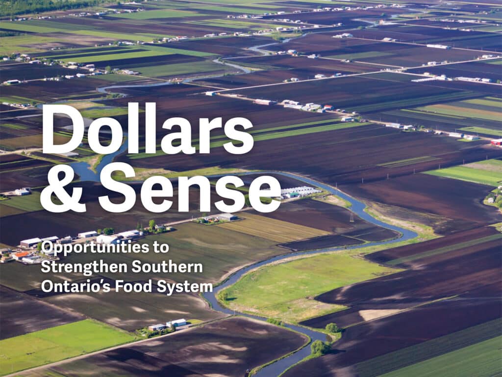 Cover of Dollars and Sense: Opportunities to Strengthen Southern Ontario’s Food System Report featuring overhead view of river surrounded by farmland.