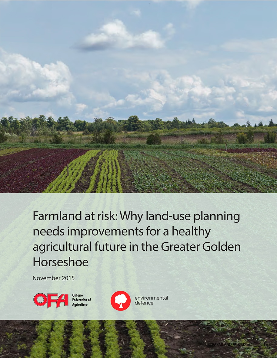 Farmland at Risk report cover featuring rows of leafy green and red crops stretch across a field under a wide sky filled with large white and gray clouds, with a tree line in the distance.