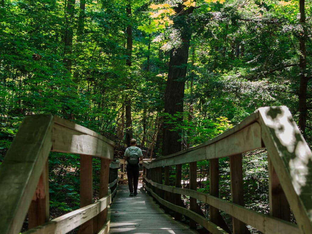 Cover of Ontario’s Good Fortune: Appreciating the Greenbelt’s Natural Capital featuring a person walking away on a wooden boardwalk through a green forest.