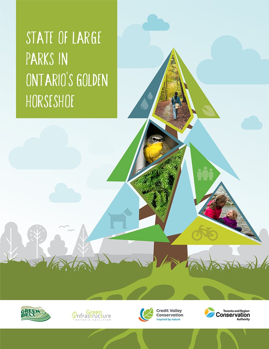Report cover featuring a stylized tree composed of triangular shapes filled with photos of natural scenes and recreation, representing large parks in Ontario’s Golden Horseshoe.