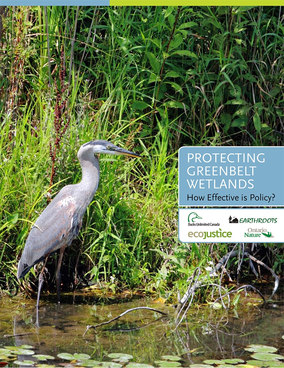 Report cover featuring a marsh wetland with with a Blue Heron standing in the water in front of tall grasses.