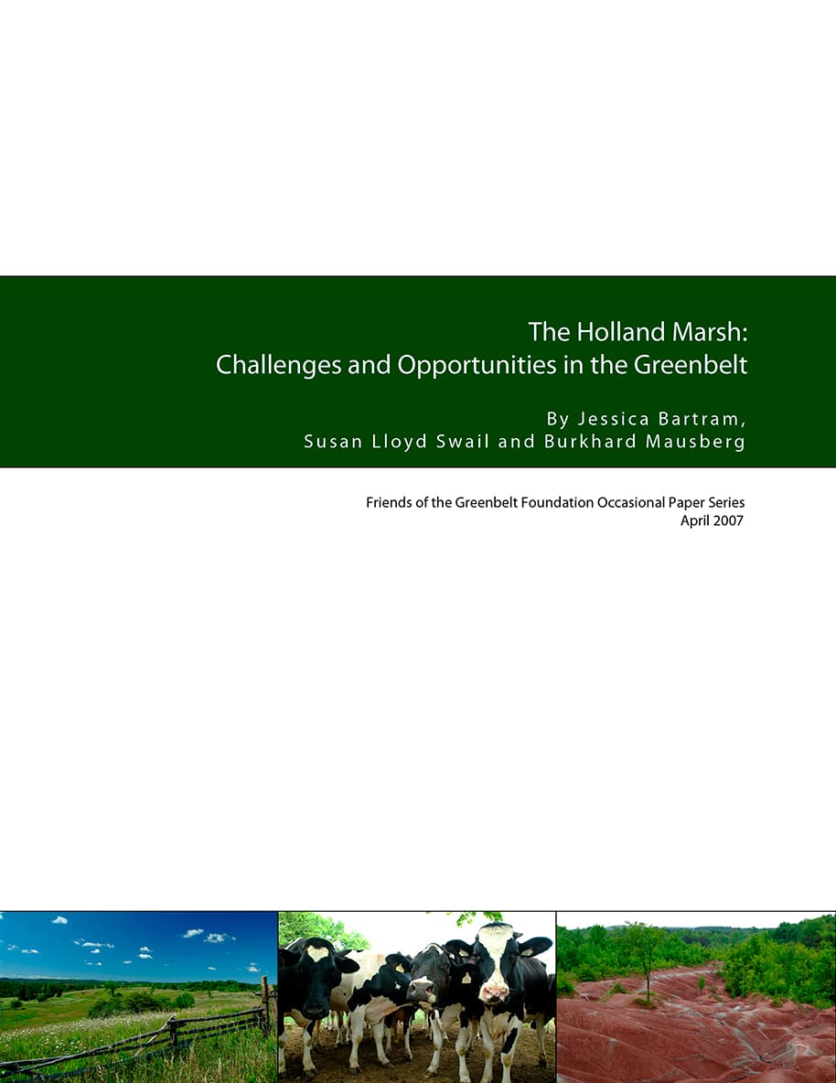 Cover of The Holland Marsh: Challenges and Opportunities in the Greenbelt featuring three landscape photos along the bottom showing a rural field, a group of dairy cows, and reddish cultivated soil.