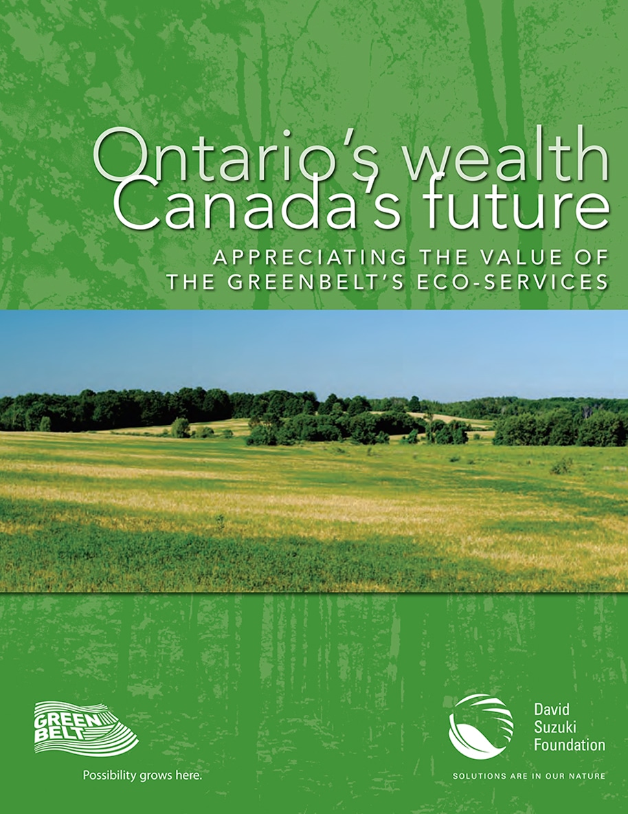 Cover of Ontario’s Wealth, Canada’s Future: Appreciating the Value of the Greenbelt’s Eco-Services featuring a wide landscape photo of open field and tree line.