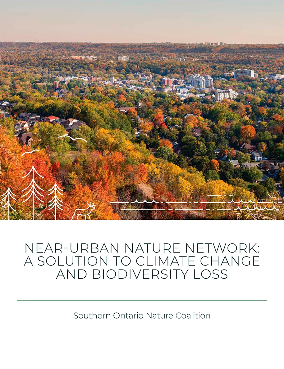 Cover of NEAR-URBAN NATURE NETWORK: A SOLUTION TO CLIMATE CHANGE AND BIODIVERSITY LOSS featuring an aerial photo of a city neighbourhood surrounded by fall-coloured trees; white line icons of trees, a deer, and water along the bottom.