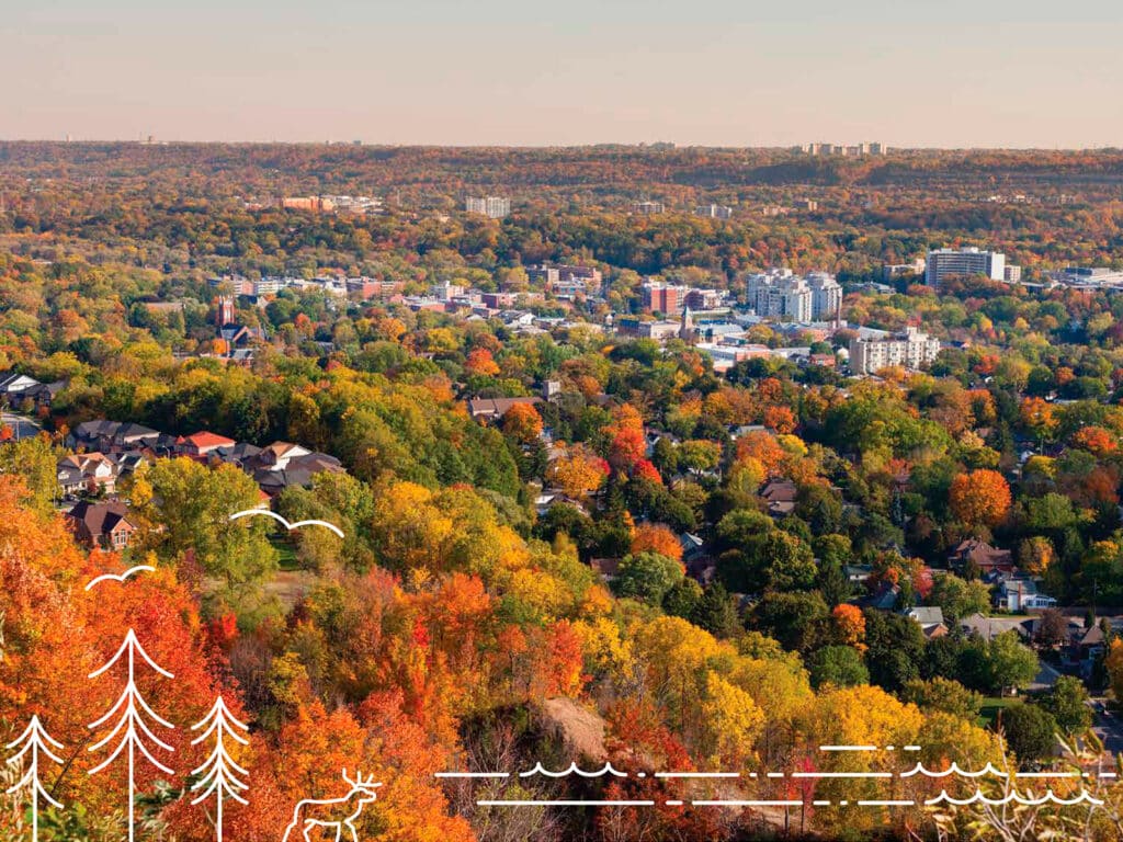 Image featuring an aerial photo of a city neighbourhood surrounded by fall-coloured trees; white line icons of trees, a deer, and water along the bottom.
