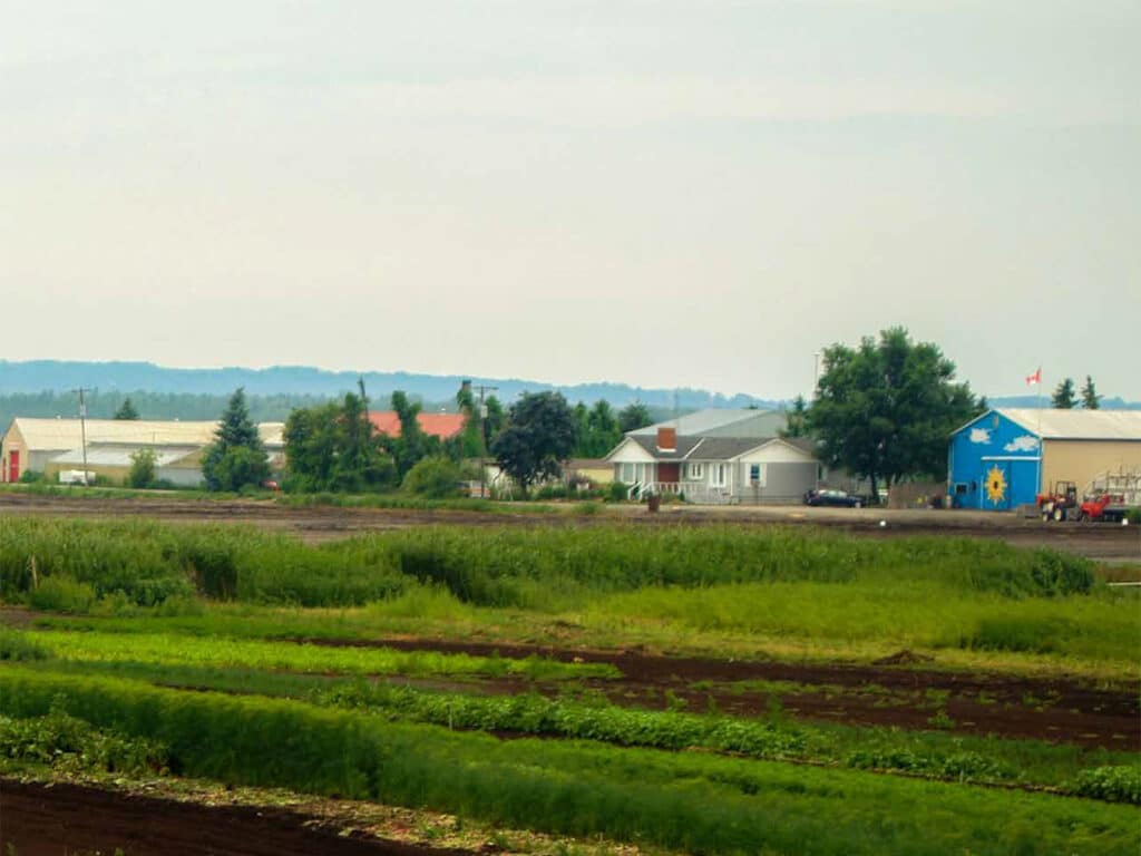 Broad view of cultivated fields with farm buildings in the distance.