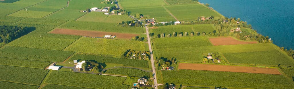 Aerial view of farmland