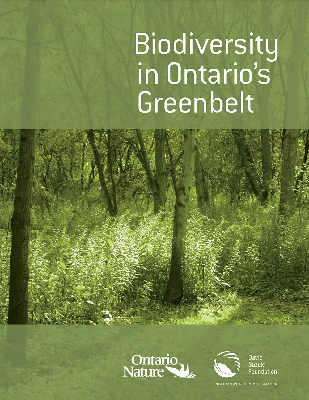cover image for Biodiversity in Ontario's Greenbelt report