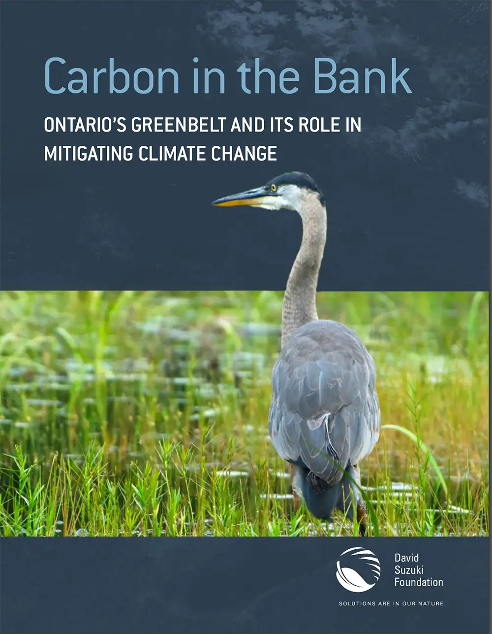 cover image for Carbon in the Bank: Ontario's Greenbelt and its Role Mitigating Climate Change report