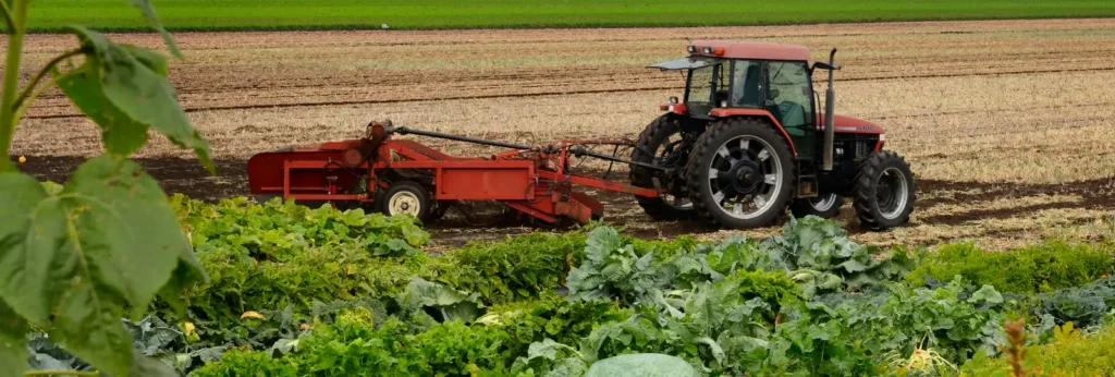 tractor in a field