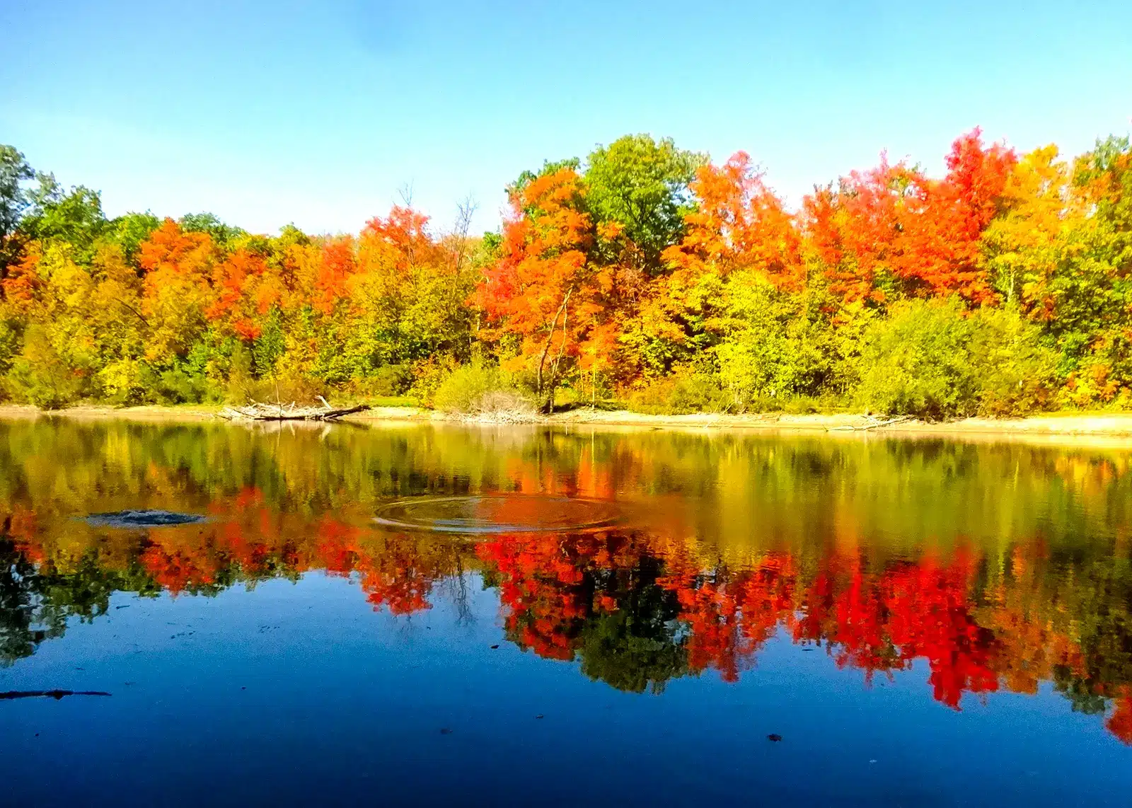 view of autumn trees across water