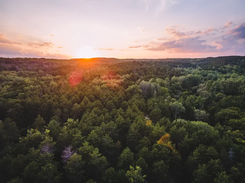 aerial view of a forest while the sun sets