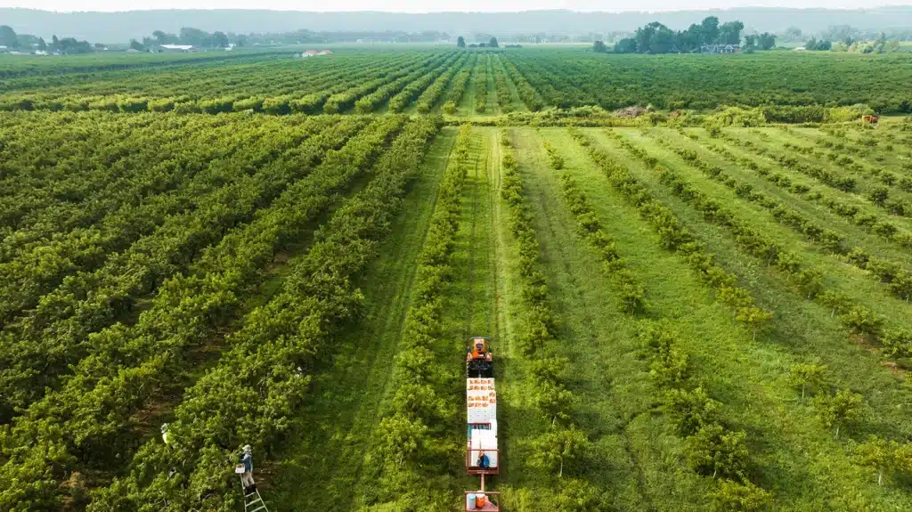 a tractor moving through farmland