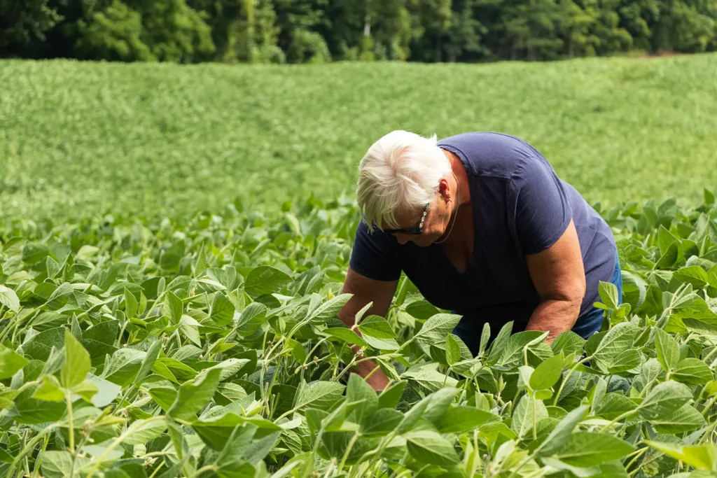 person working in field