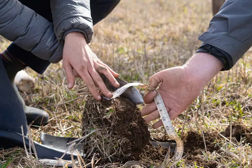 Measuring a piece of soil