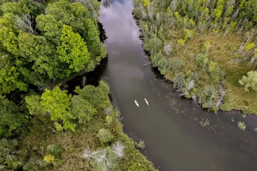 2 people paddleboarding along a river