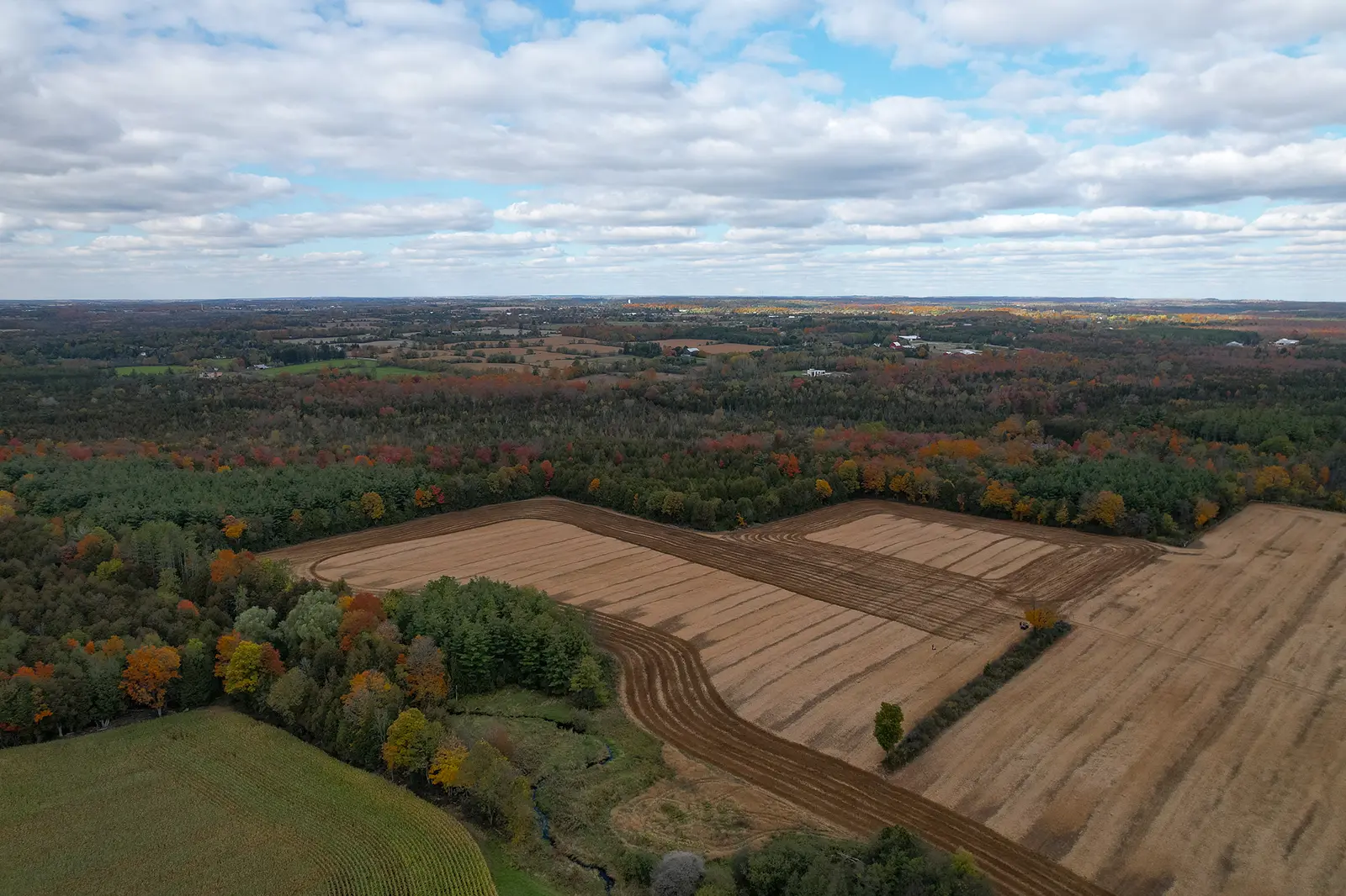 view of greenbelt soil