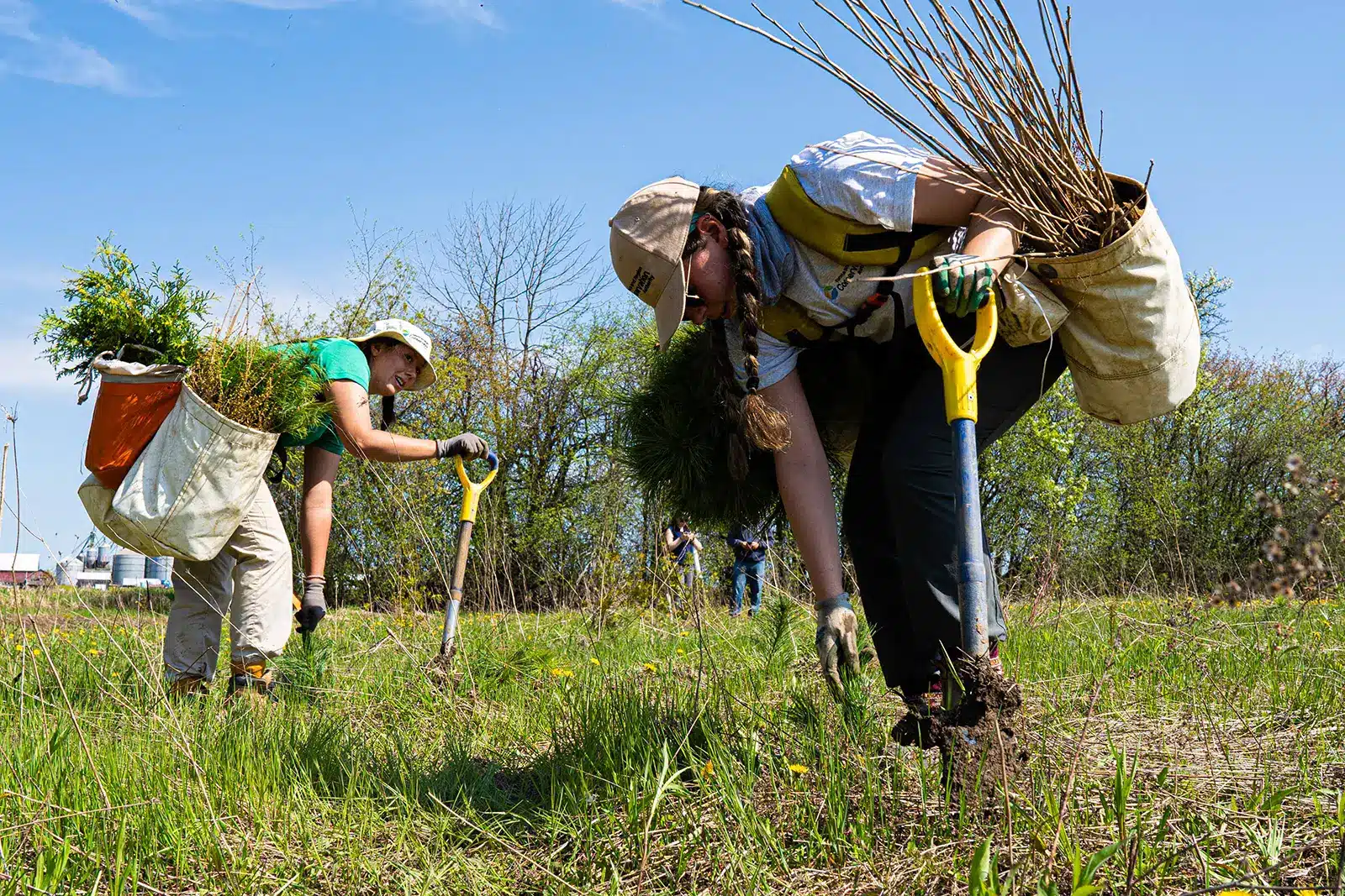2 people taking soil samples