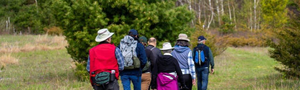 Group hiking on a trail into a coniferous and deciduous woodland.