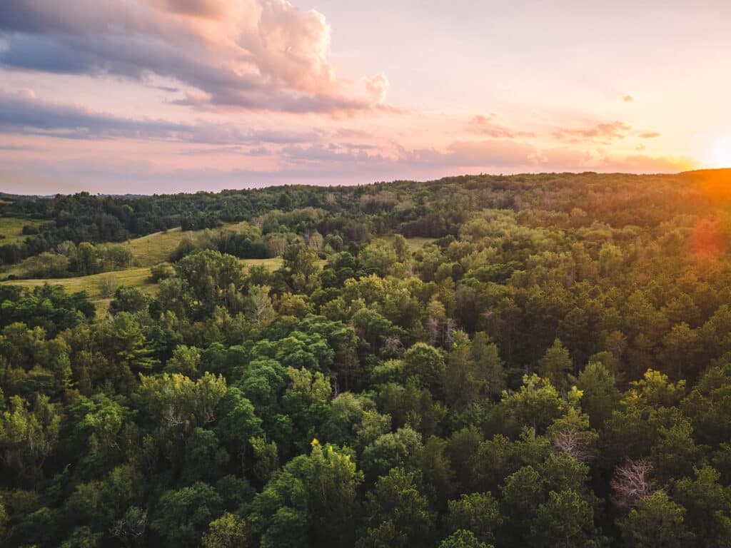 Aerial view of Ganaraska Forest at sunrise