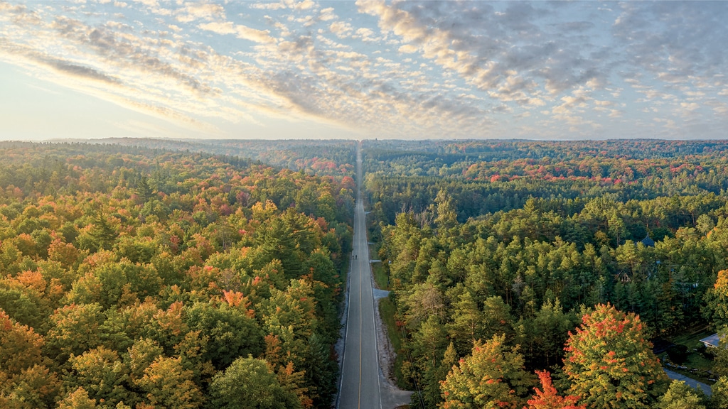 Panoramic aerial view of McCowan Road in fall.