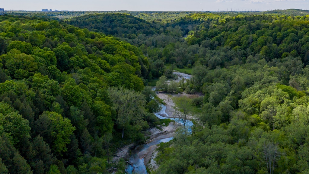 Overhead view of the Rouge River winding through Rouge Park