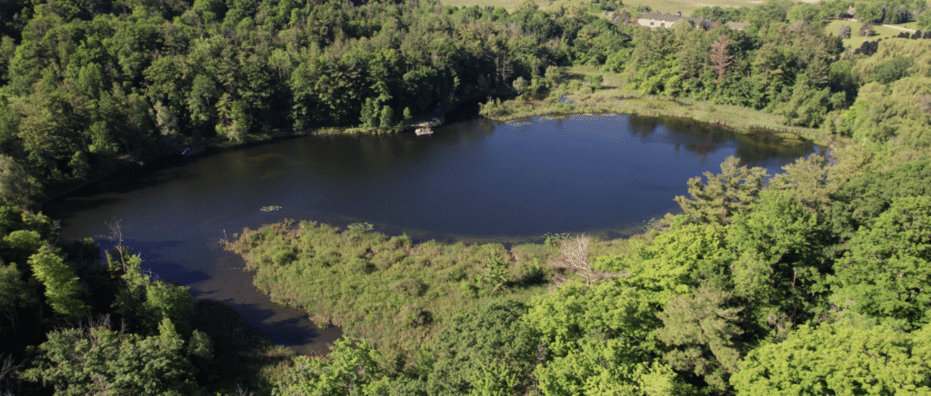 Aerial view of a wetland within a forested area