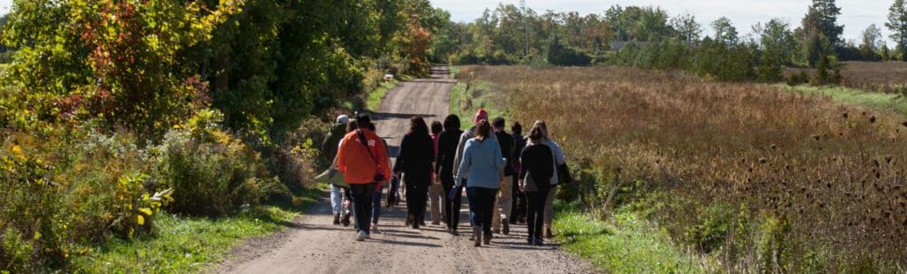 Into the Greenbelt Participants walking down a roadway between two fields.