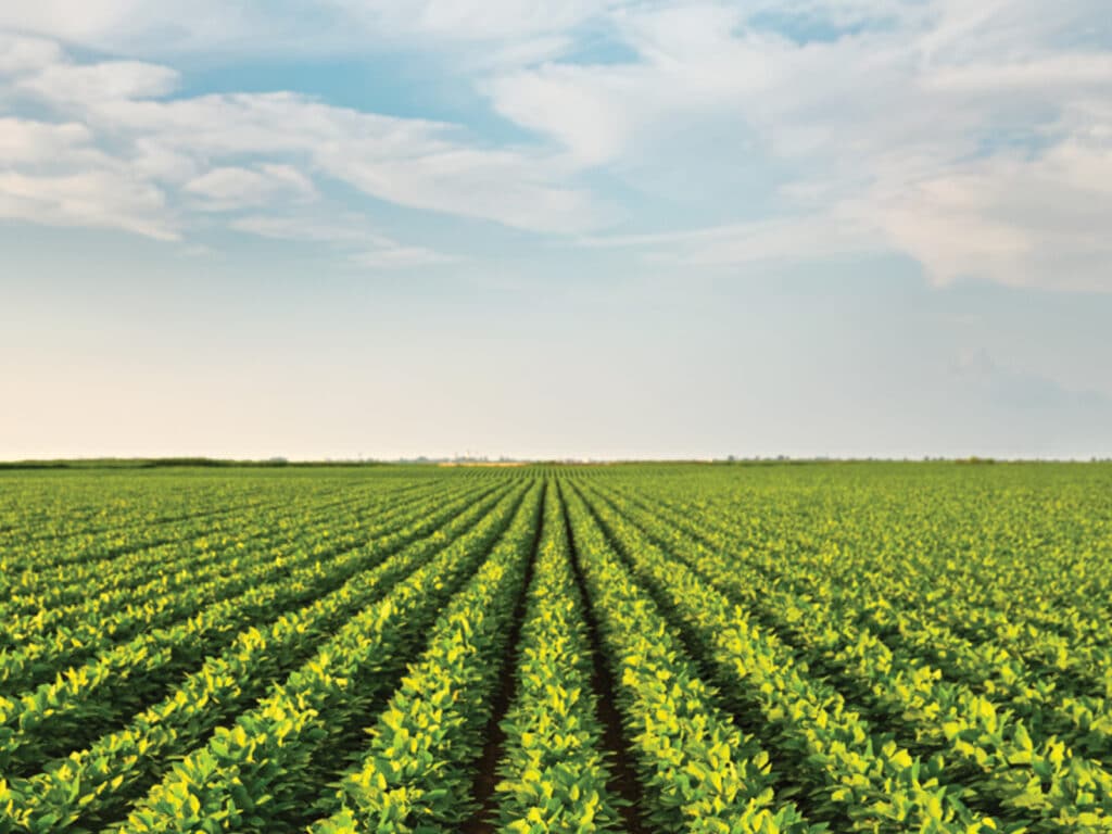 Top image of On-Farm Soil Health in the Greater Golden Horseshoe featuring a wide field of green crops under a cloudy sky.
