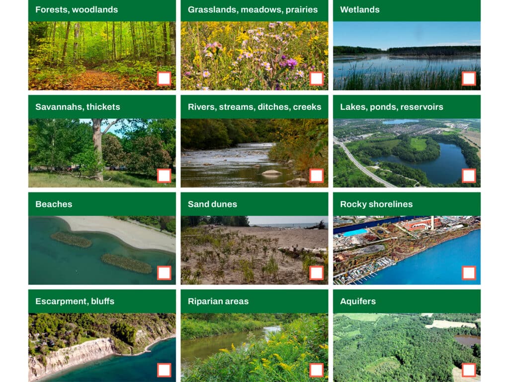 Fact Sheet - Natural Assets Checklist