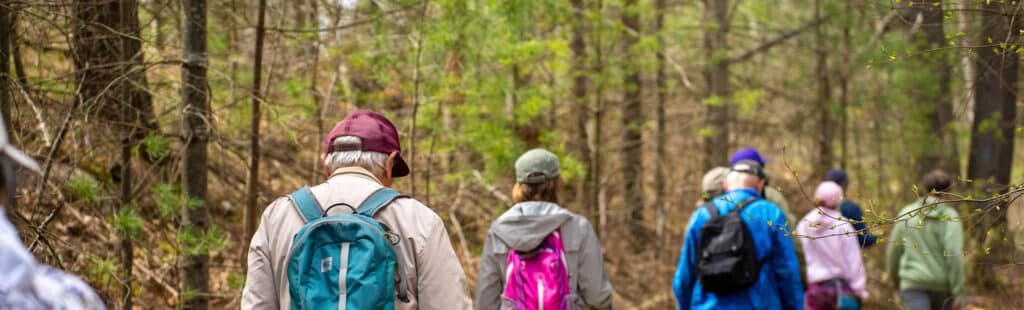 Group hiking on a forest trail.