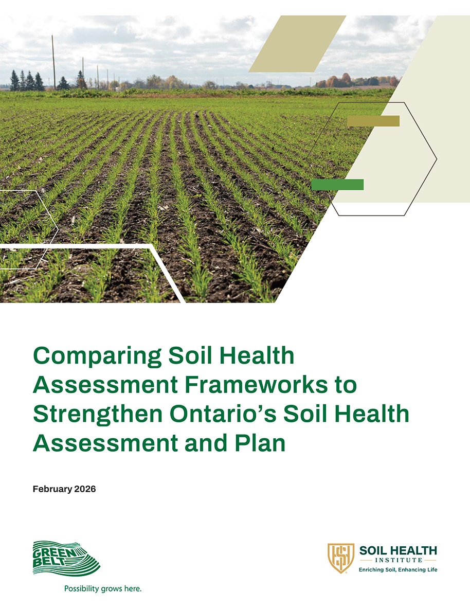 Cover image of Comparing Soil Health Assessment Frameworks to Strengthen Ontario's Soil Health Assessment and Plan report featuring young row crops growing in a cultivated field.