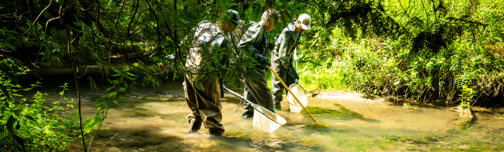 People wading in a stream, collecting samples.