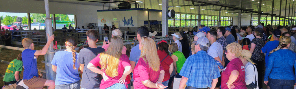 Crowd observing livestock at a farm event