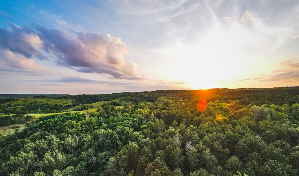 Sunset over lush green landscape